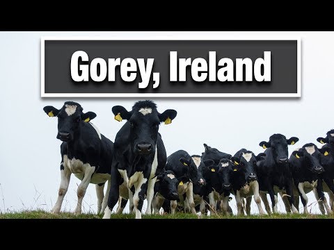 City Walks: Gorey Ireland County Wexford