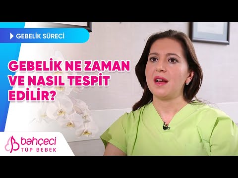 Gebelik Ne Zaman ve Nasıl Tespit Edilir?