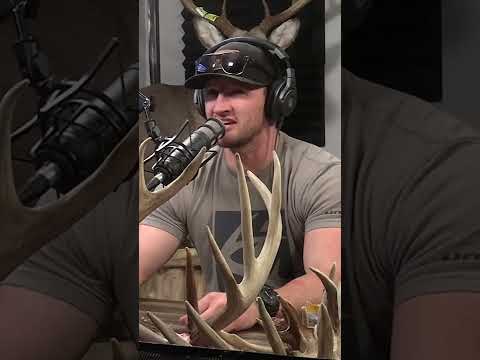 Ist Tarnung WIRKLICH wichtig??? #shorts