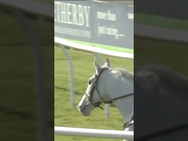 Thumbnail for Post ID: 4Pgd7BWFQGg