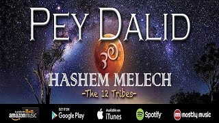 Pey Dalid's New Album Project - Indiegogo Campaign