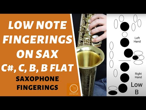 Low Note Fingerings On Saxophone (Low C#, C, B and Bb)