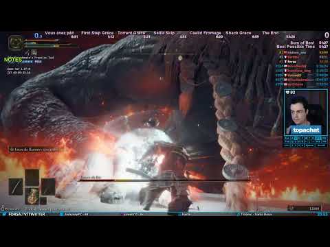 TENTATIVES DE WORLD RECORD 🌟 Any% Glitchless Speedruns