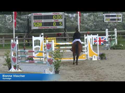 Gymolga (arezzo vdl x Indoctro)