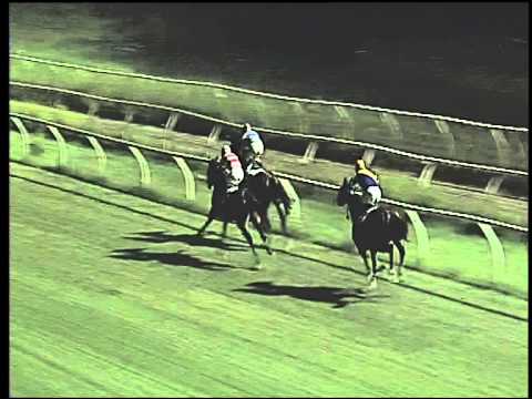 Galoppo 11/07/2015 - 6° corsa