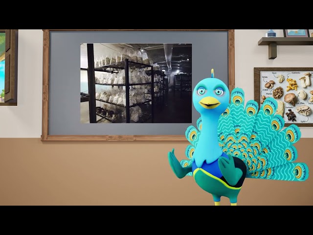 thumbnail of the course