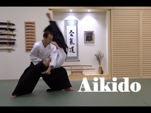 Dynamic and Elegant Aikido - Taiwan Edition