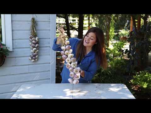 download lagu mp3 mp4 How To Tie Garlic Together, download lagu How To Tie Garlic Together gratis, unduh video klip How To Tie Garlic Together