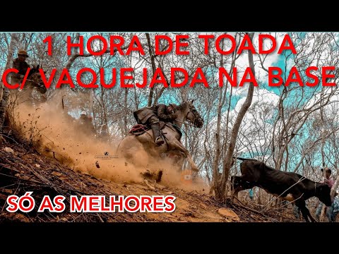 🎵🌵1 HORA DE TOADA COM VAQUEJADA NA BASE 🌵🎵