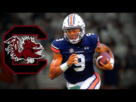 Robby Ashford Highlights - South Carolina gets an ELECTRIC Dual Threat