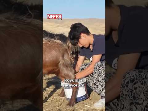 Yayladan olimpiyatlara uzanan başarı