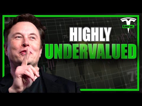 Elon Musk Unveils Tesla's TRUE Enemy