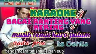 Download lagu karoke.Bagai ranting yang kering.musik remix karo patam.nada pria.iis Dahlia mp3