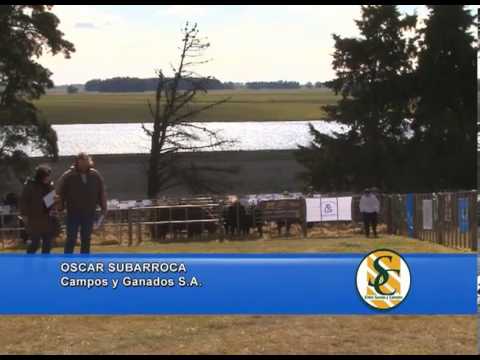 OSCAR SUBARROCA - Santa Maria - Campos y Ganados S.A. - La Dulce - 24/08/2013