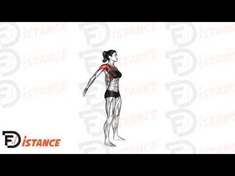 Cercles simultanés des bras (échauffement) - Exercice Cercles simultanés des bras (échauffement) en vidéo Cercles simultanés des bras (échauffement) - Exercice Cercles simultanés des bras (échauffement) en vidéo