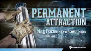 MagForce Permanent Magnet Motor