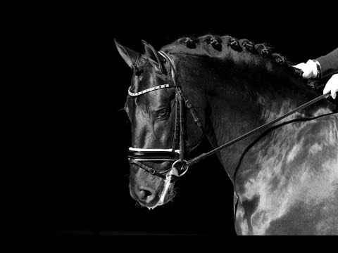 CLINIC POETA DE SUSAETA - RFHE - FEB 18