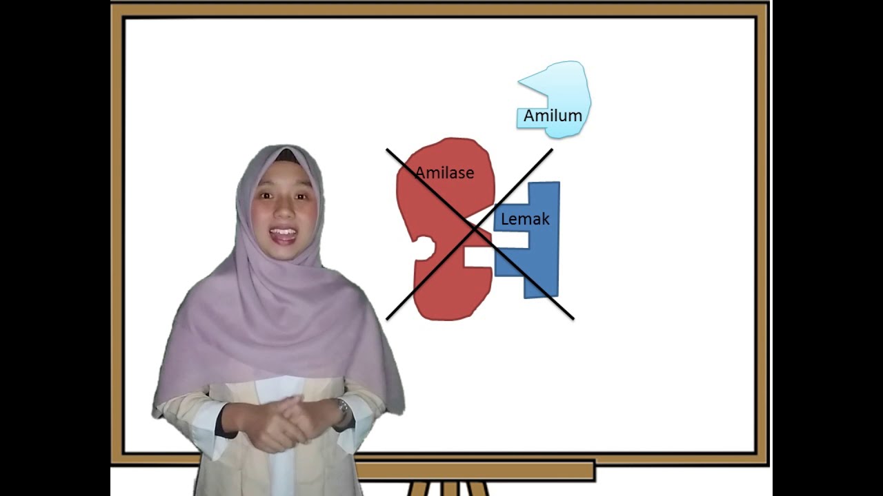 Apa itu enzim || Teaching Contest