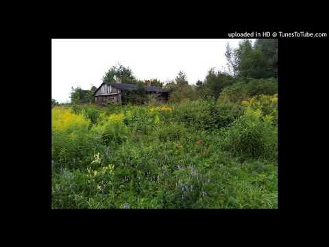 Apteka - Psychodeliczny kowboj