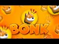 What is Bonk Coin? - Solana's Dog-themed Memecoin Explained