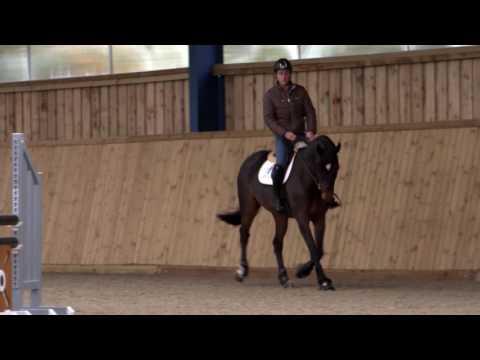 Masterclass 5 with Scott Brash