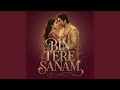 Bin Tere Sanam