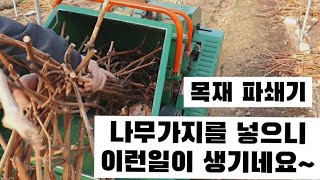 #목재파쇄기사용방법  #포도나무 #샤인머스켓    파쇄기로 나무가지 파쇄하기작업