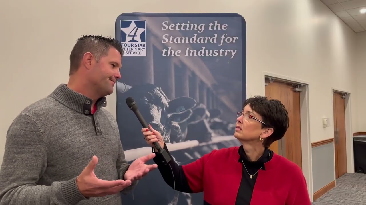 Dairy X Beef Summit: New scours, starter intake and calf comfort research for beef-on-dairy calves