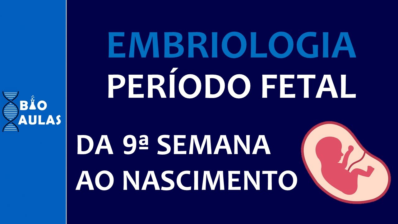 Período Fetal - Da Nona Semana ao Nascimento | Idade Fetal | Data do Parto (Embriologia Humana)