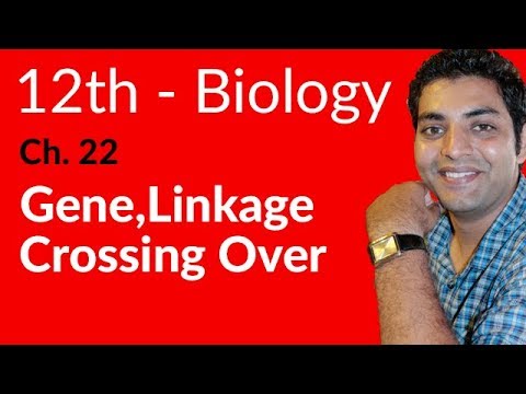FSc Biology Book 2, Gene Linkage & Crossing Over - Ch 22 Variation and Genetics - 12th Class Biology