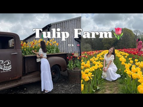 Tulley Tulip Fest , UK 🇬🇧🌷 || Explore with Nyima🫶🏻 |||Like in UK