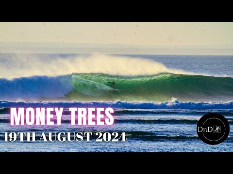 GLAND 19TH AUGUST 2024 | MONEY TREES | LONG SURFING VIDEO