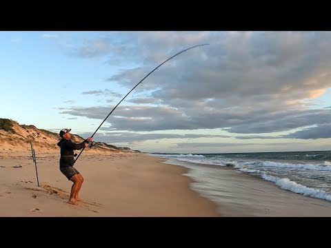 Solo Beach Fishing: 3 Top Fish In One Session! CATCH and COOK