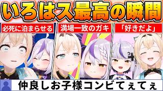 【ファン投票で決定】ケンカするほど仲が良い！最高にてぇてぇないろはス名場面BEST10【ホロライブ・切り抜き】