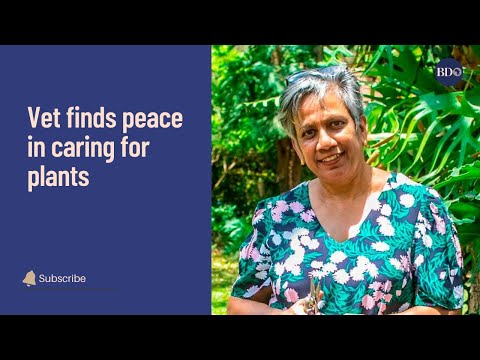 Vet finds peace in caring for plants