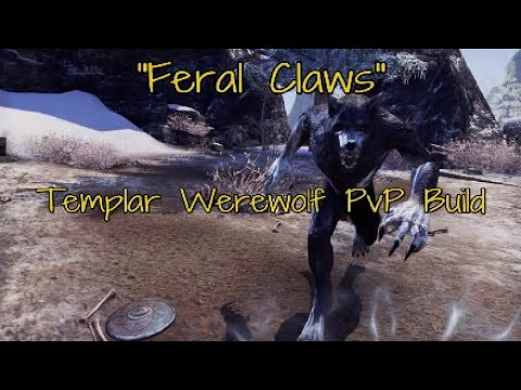 ESO - "Feral Claws" Werewolf Templar PvP Build Video