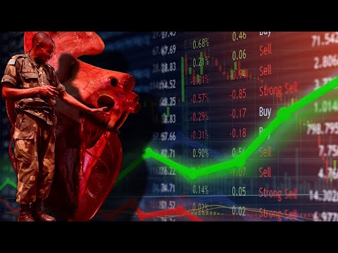 Space Warlord Organ Trading Simulator Review | Universal Donor Edition™