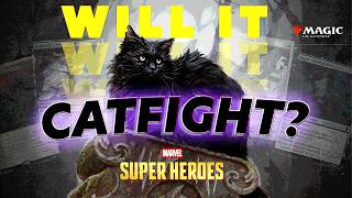 Will it Catfight?? - Marvel Super Heroes
