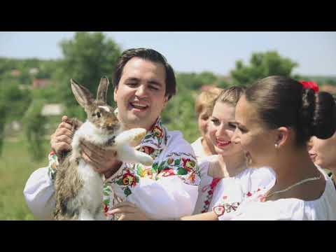 Igor Cuciuc  - Tati vor la sarutat ❤ Contact ➕3️⃣7️⃣3️⃣ 6️⃣9️⃣2️⃣4️⃣2️⃣1️⃣7️⃣8️⃣