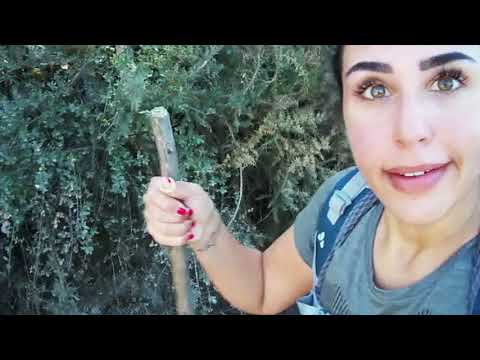 Ironisch den Jakobsweg laufen - Camino 2018