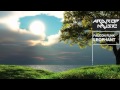 Falcon Funk - Leophant 