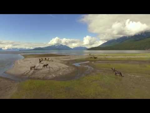 Juneau Alaska - 4K