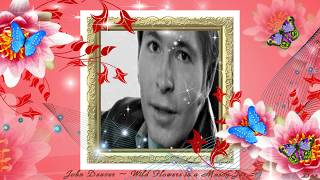 John Denver ~ Wild Flowers in a Mason Jar ~ Baz