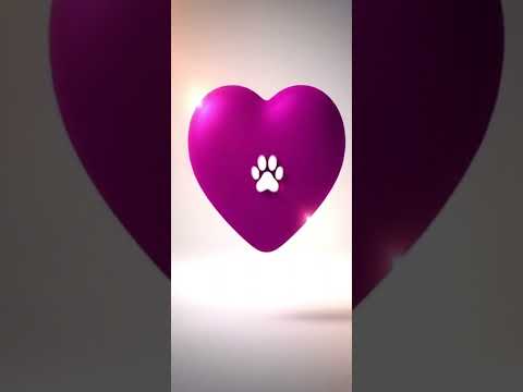 Vídeo de Charlie Brownie