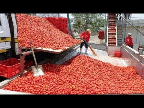 DIE SCHNELLSTEN ARBEITER DER WELT !