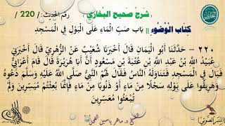 220 - شرح صحيح البخاري كتاب الوضوء | باب صَبِّ الْمَاءِ عَلَى الْبَوْلِ فِي الْمَسْجِدِ - الحديث 220 image