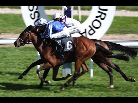 Köln: Preis des Porsche Zentrum Köln (D) - Siegerin: Signora Queen