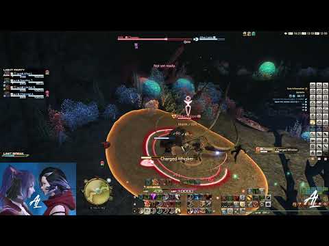 Sastasha - Dungeon Tips - Warrior PoV (ENG)