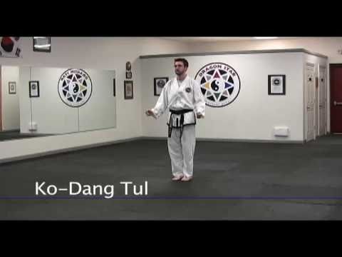 Dragon Star Martial Arts 2nd Dan KoDang