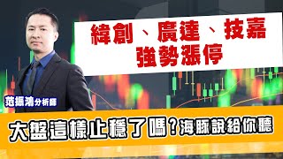 3231緯創 2382廣達 2376技嘉強勢漲停，大盤這樣止穩了嗎? 海豚說給你聽 (圖)